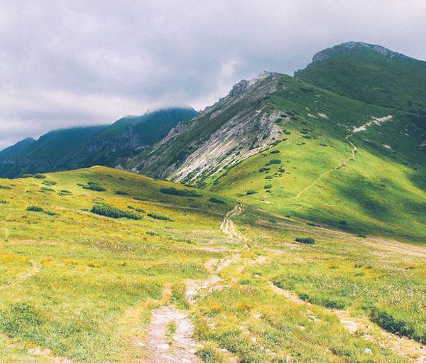 在线短信轰炸工具